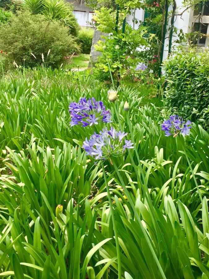 Cascais Seaside Garden Villa Εξωτερικό φωτογραφία