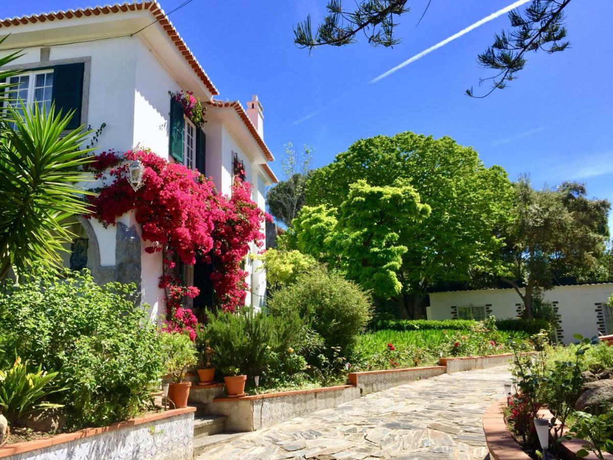 Cascais Seaside Garden Villa Εξωτερικό φωτογραφία