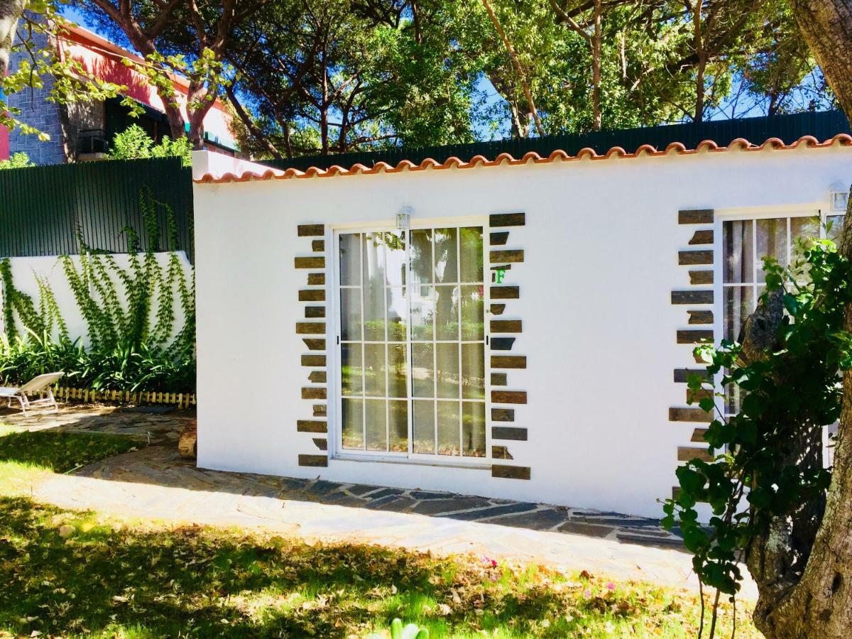 Cascais Seaside Garden Villa Εξωτερικό φωτογραφία