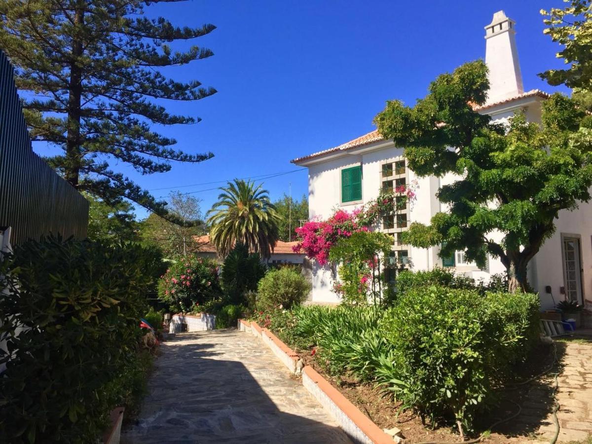 Cascais Seaside Garden Villa Εξωτερικό φωτογραφία